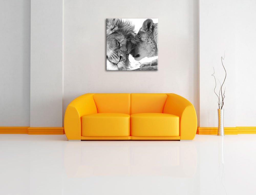 Pixxprint Bezauberndes kuschelndes Löwenpaar schwarz/weiss, Format: 70x70 auf Leinwand, 70x70