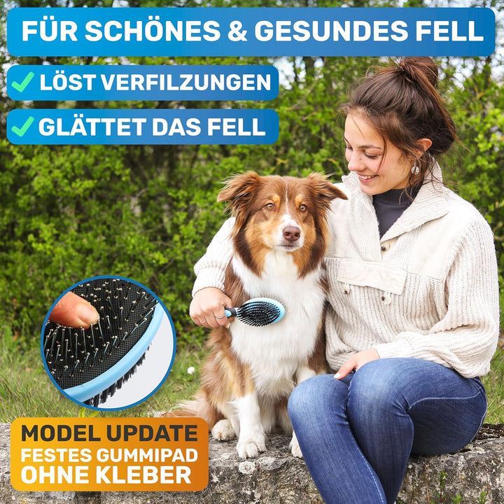 BluePet "DoppelDecker" 2in1 Hundebürste für Langhaar &amp; Kurzhaar - Auch für Welpen &amp; Katzen - Glätten