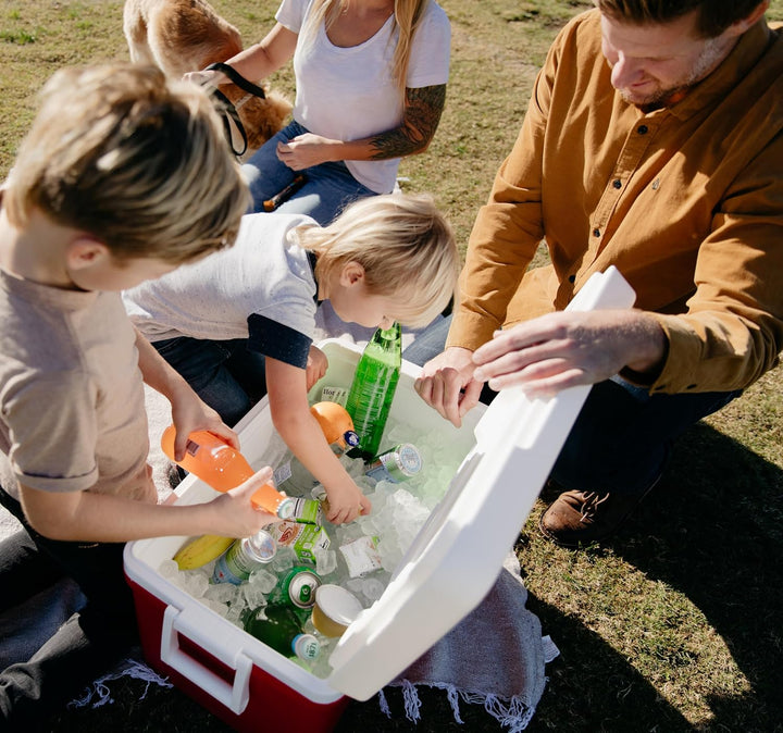 Igloo Passive Mini-Kühlbox Laguna 45 Liter, 45 Liter