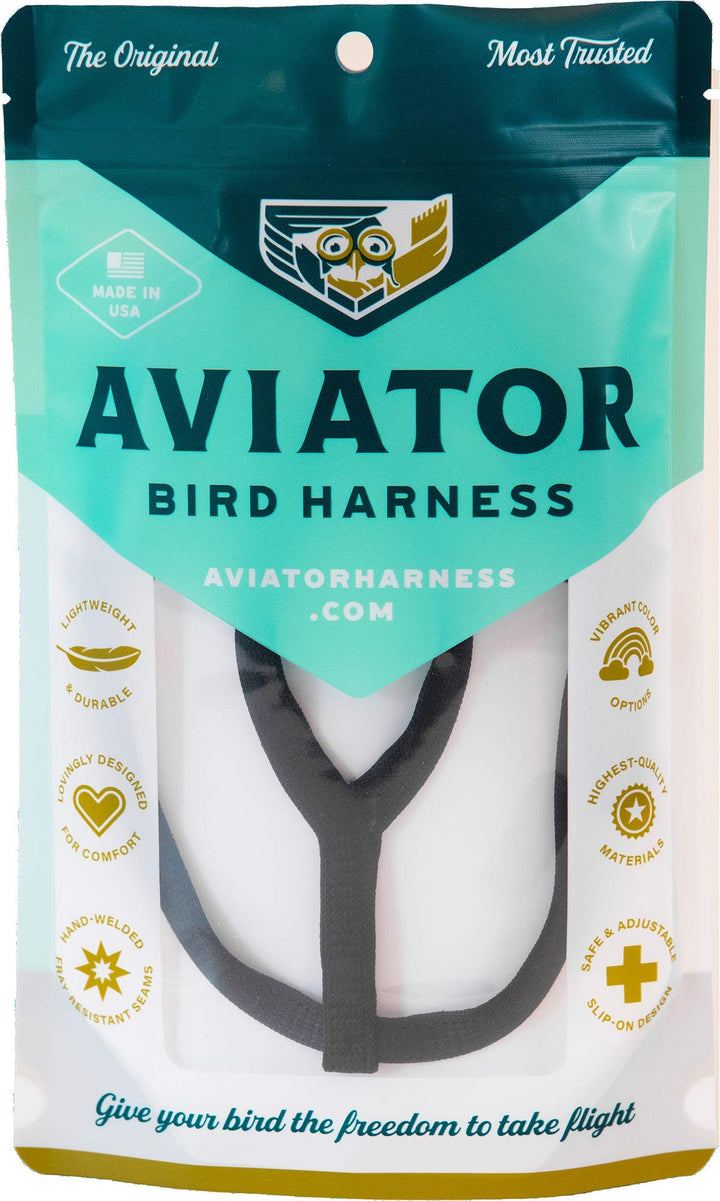 Das Aviator Vogel Geschirr: XX-Large Schwarzes, XX-Large Schwarzes