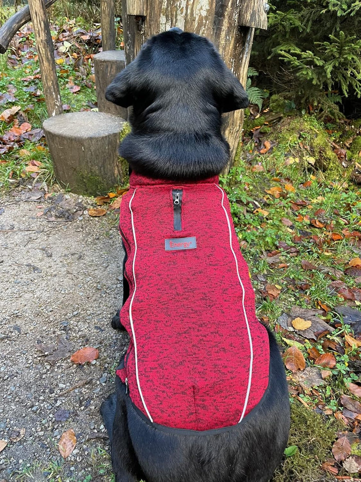 iEnergy™ OSC isolierende und warme Outdoor-Hundejacke mit Fleece-Innenfutter, windabweisender, ultra