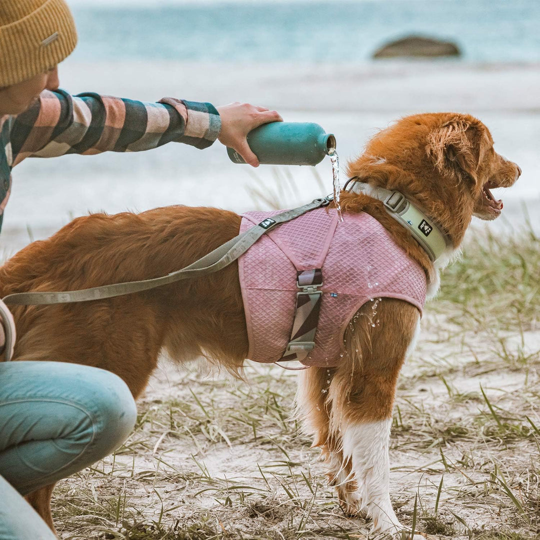 Hurtta Cooling Wrap Kühlweste für Hunde, Kühlweste Sommer Hundejacke, Rosa, 55-65cm Carnation Pink 5