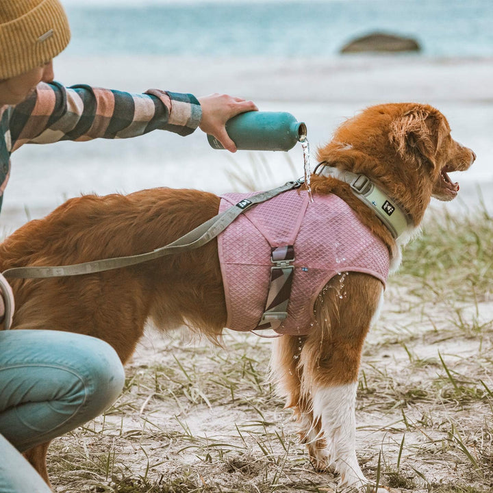 Hurtta Cooling Wrap Kühlweste für Hunde, Kühlweste Sommer Hundejacke, Rosa, 55-65cm Carnation Pink 5