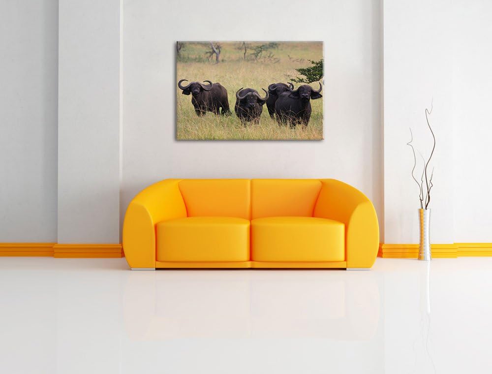 wachsame Kaffernbüffelherde Leinwand, XXL riesige Bilder fertig gerahmt mit Keilrahmen, Kunstdruck a