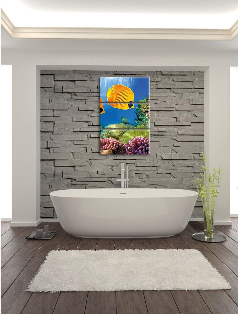 Pixxprint Fische Korallenriff als Leinwandbild/Grösse: 3 Teilig (120x80) cm/Wandbild/Kunstdruck/fert