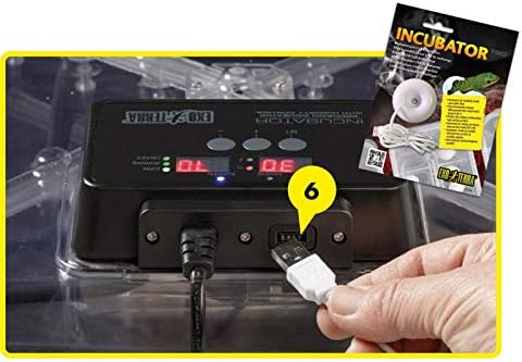 Exo Terra Inkubator Pro, Präzisionsinkubator für Reptilieneier, Inkubator mit Feuchtigkeitsregulieru