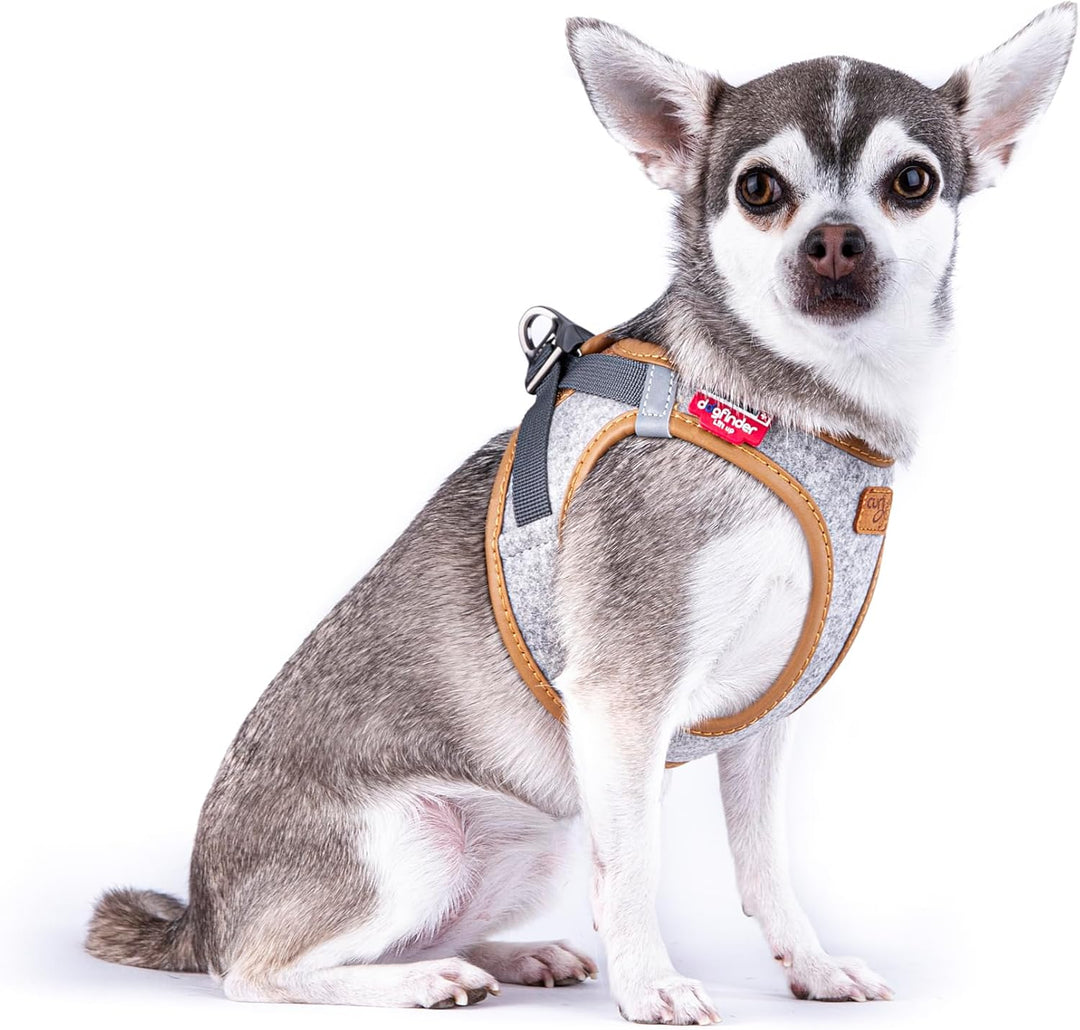 Alpine curli Clasp Vest Harness Light Gray 3XS XXXS, XXXS