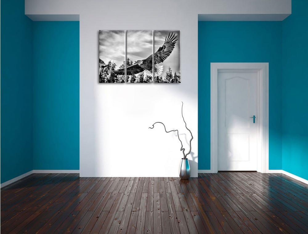 Pixxprint Adler als Leinwandbild | Grösse: 3 Teilig (120x80) | Wandbild| Kunstdruck | fertig bespann