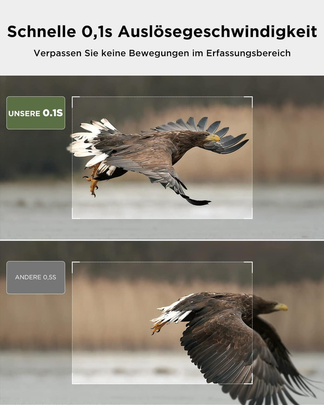 CEYOMUR Solar Wildkamera mit Handyübertragung App, 4K 68MP UHD Wildkamera WLAN mit 5200mAh Akku, Wil