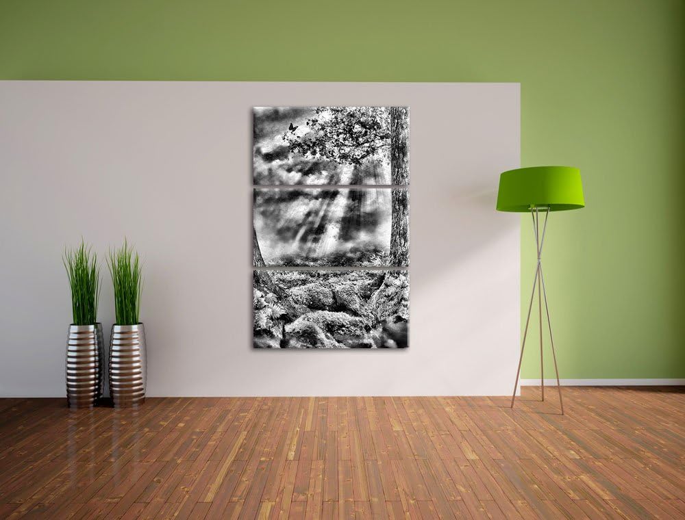 Pixxprint Monocrome, Baumwurzel und Schmetterling 3-Teiler Leinwandbild 120x80 Bild auf Leinwand