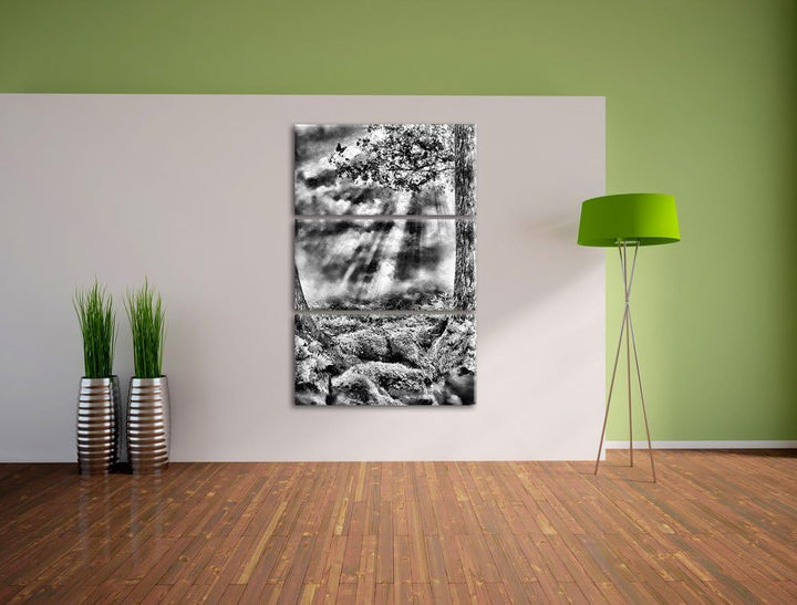 Pixxprint Monocrome, Baumwurzel und Schmetterling 3-Teiler Leinwandbild 120x80 Bild auf Leinwand