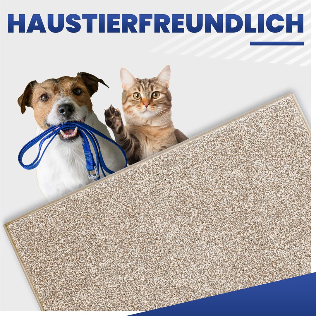 Mibao Fussmatte Innen 60 x 90 cm, Schmutzfangmatte für den Eingangsbereich, Türmatte, rutschfeste, S