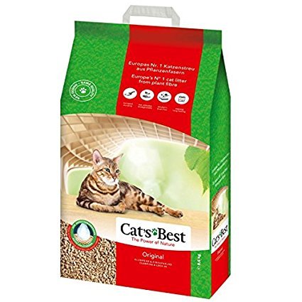 Cat&