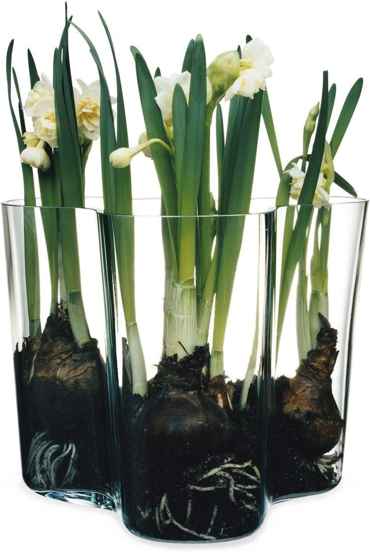 Iittala Vase Aalto 160 mm Klar aus Glas, 160 mm