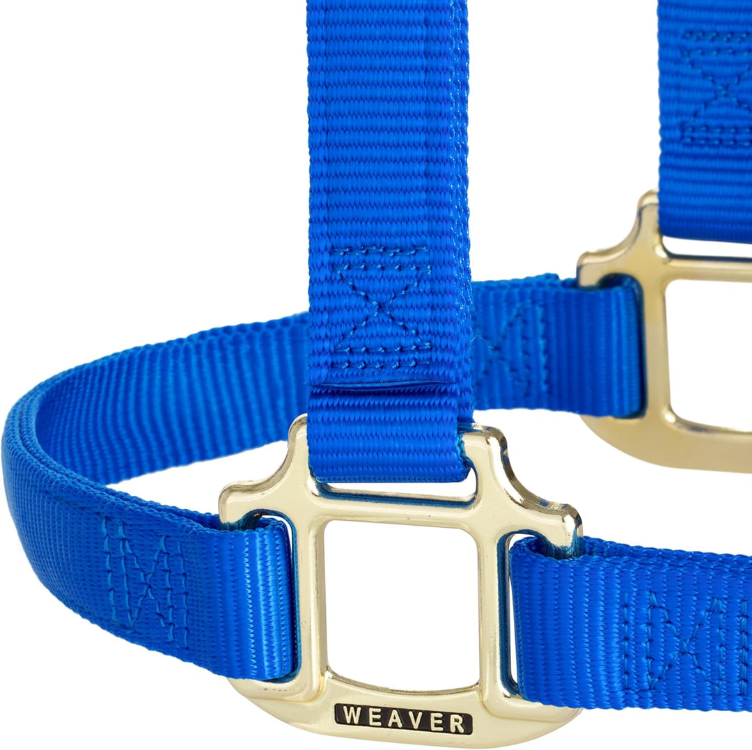 WEAVER Leather, Nicht verstellbares Halfter Blau Average Horse, Blau Average Horse