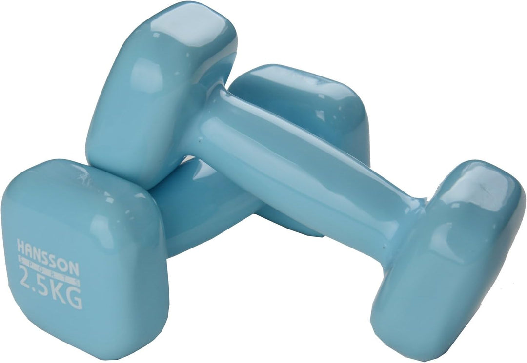 Hansson 2er Set Vinyl Hantel Gymnastikhantel 0,5 kg – 5 kg Auswahl 2 x 2,5 kg (Hellblau), 2 x 2,5 kg