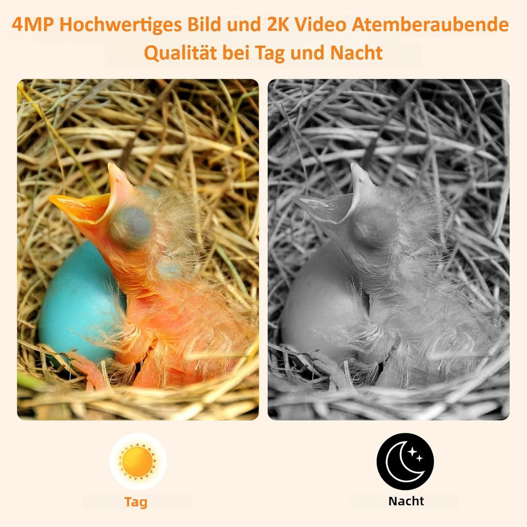 Vogelhaus mit 4MP Kamera, Nistkasten für Vögel für Draussen Wetterfest, 2,4 G WiFi & App Benachricht
