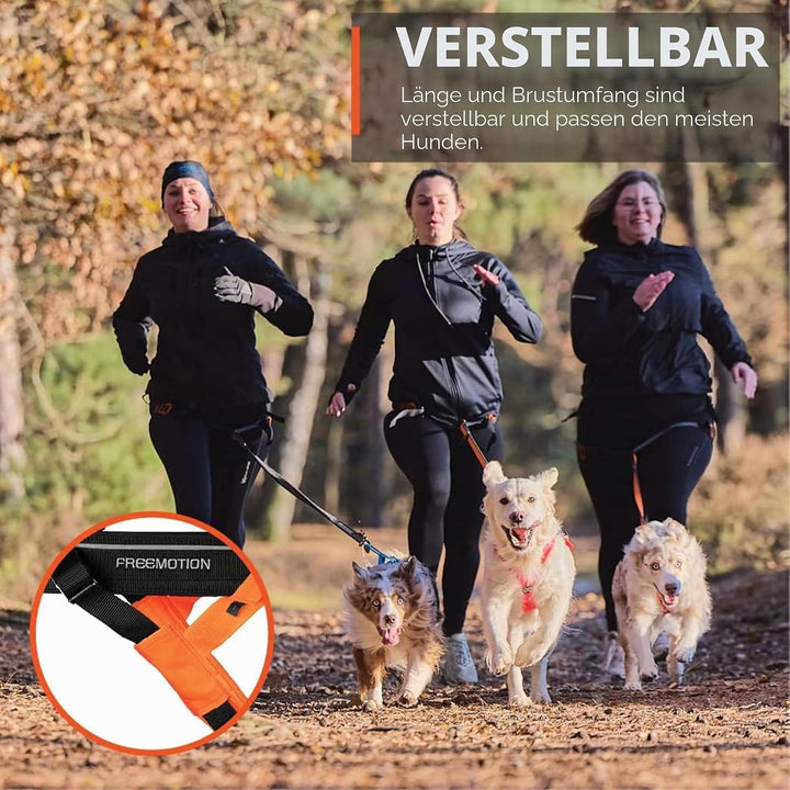 Non-stop dogwear FREEMOTION Harness 5.0 |111| Hundegeschirr für alle Sportarten, Grösse:5, 5