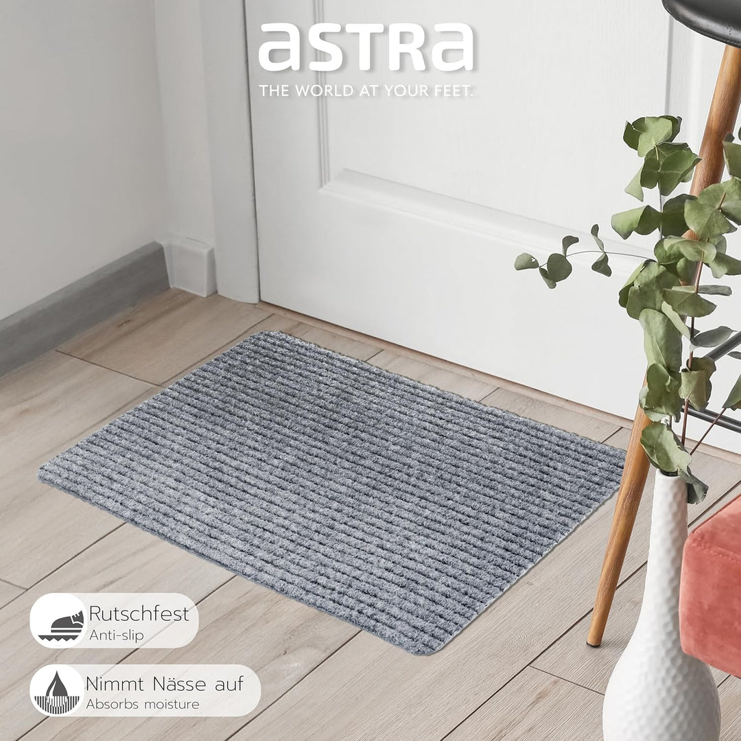 Astra Fussmatte innen Silber Schmutzfangmatte rutschfest – Türmatte 50x80 cm 2er Set wasserabweisend