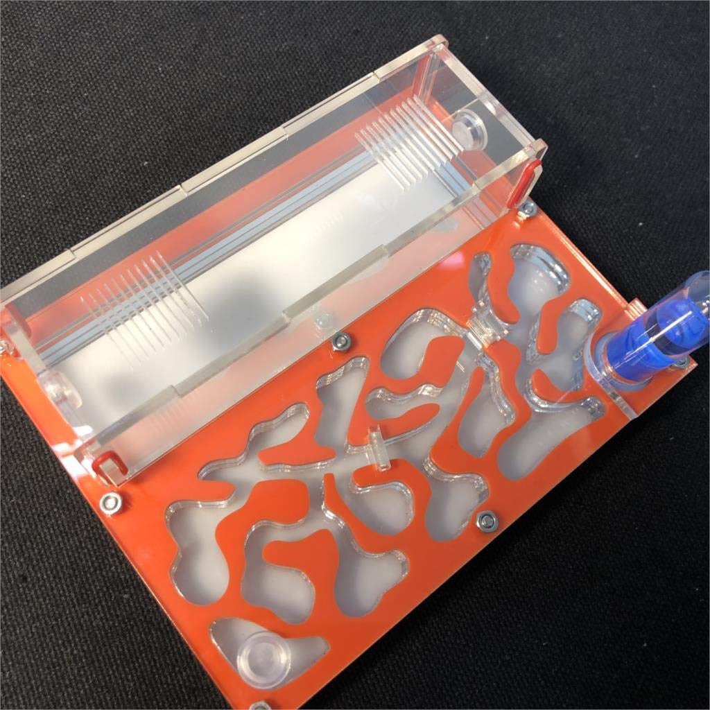 Ant Farm Educational Formicarium für LIVE Ameisen Reagenzglas Feuchtigkeit grosser Raum Acryl Ameise
