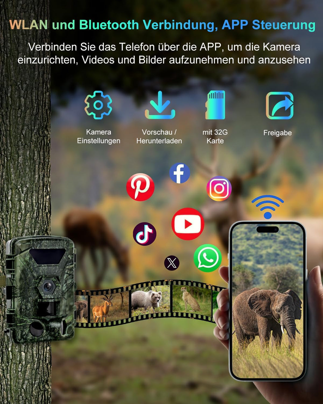 Wildkamera, 8K Wildtierkamera WLAN mit 32G Speicherkarte 60MP Wildcamera mit Handyübertragung APP, B