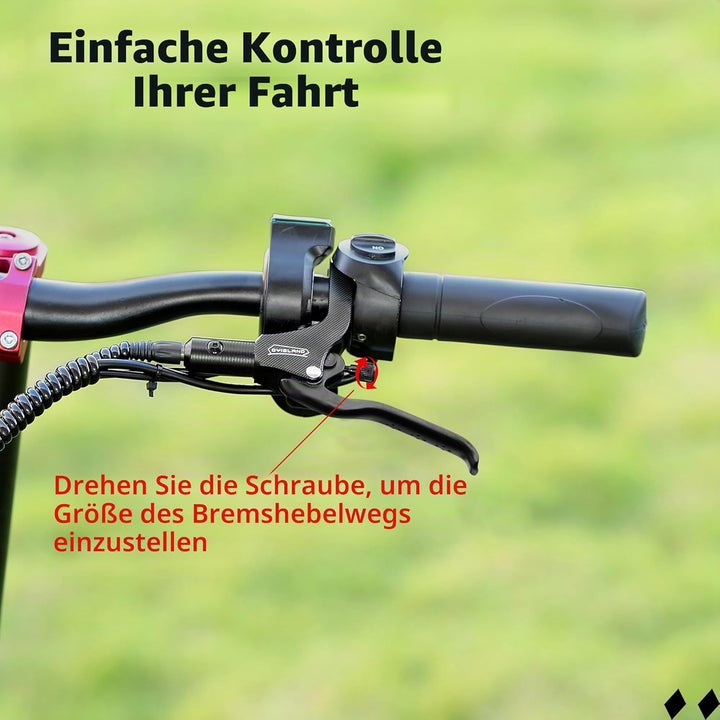 LD-210S Hydraulisches Scheibenbremsen-Set, 2-polig/Power-Off-Bremsset für Elektroroller/E-Scooter R-