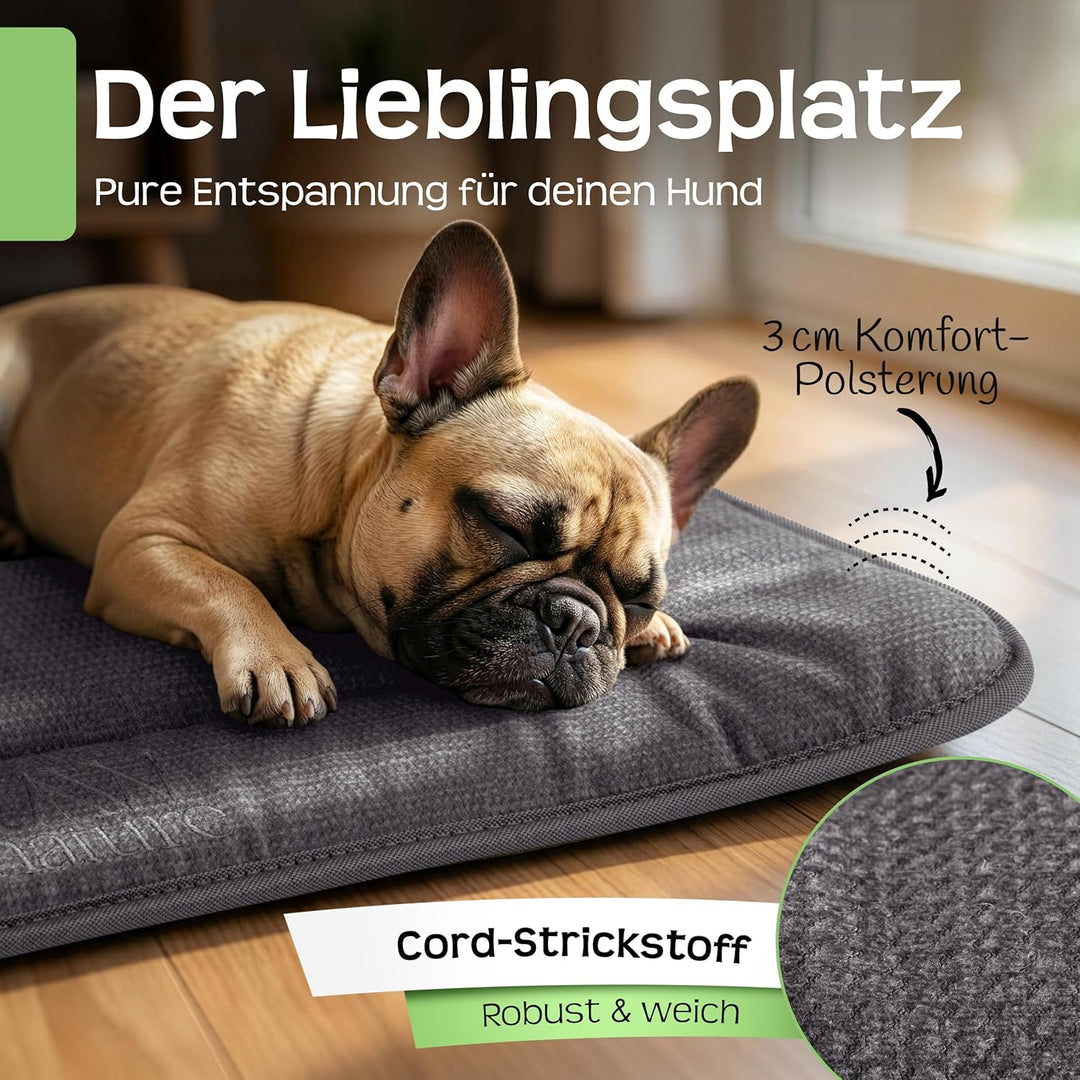 RAW Nature Hundematte KIVO S – 60x45x3 cm Alpengrau, rutschfeste Hundeliegematte aus Cord, waschbar,