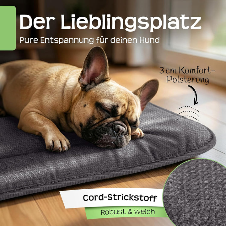 RAW Nature Hundematte KIVO S – 60x45x3 cm Alpengrau, rutschfeste Hundeliegematte aus Cord, waschbar,