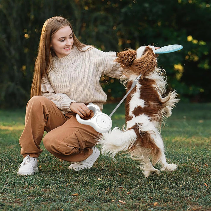 5m Einziehbare Hundeleine für kleine, mittlere & grosse Hunde mit Einhand-Bremse und Verriegelung, e