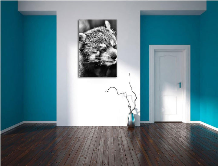 Pixxprint Monocrome, Kleiner Panda SAGT Hallo, Format: 100x70 auf Leinwand, riesige Bilder fertig ge