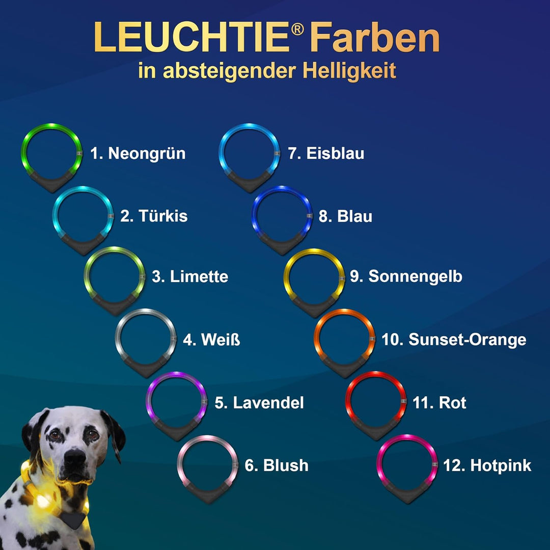 LEUCHTIE® Leuchthalsband Plus türkis Grösse 55 I LED Halsband für Hunde I 100 h Leuchtdauer I wasser
