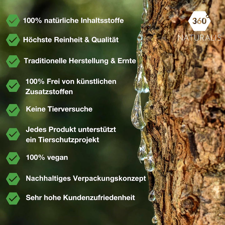 Natur Chios Mastix - Medium Tears - 50g - Natur Kaugummi