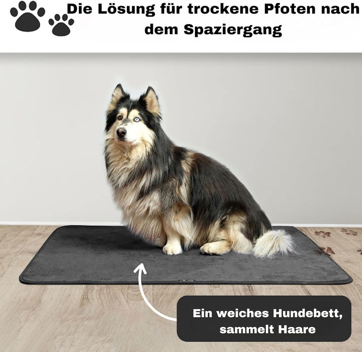 Aladino il tappeto Magico® - Das Original Innen- und Aussenteppich, rutschfest und maschinenwaschbar