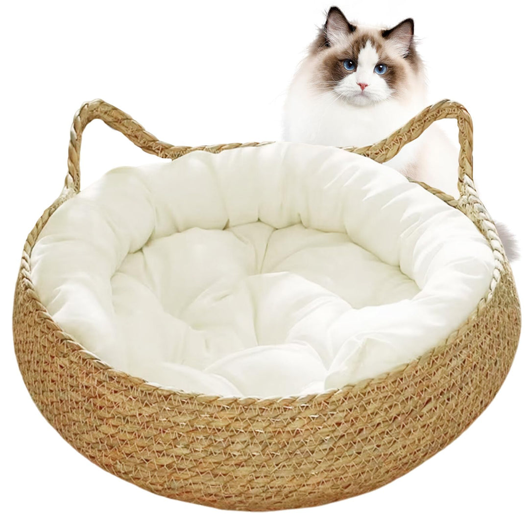 Katzenbett, Katzencouch, Katzenbetten und Möbel, Katzenbetten für Hauskatzen, 38,1 x 12,7 cm, 2-in-1