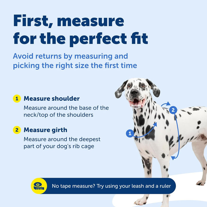 PetSafe 3in1 Harness, from The Makers of The Easy Walk Harness, Fully Adjustable No-Pull Dog Harness