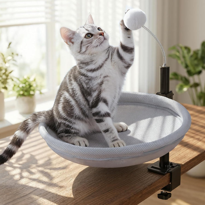 Katzenbett für Schreibtisch, Hängebett für Katzen 360 ° drehendes &amp; höhenverstellbar mit Hängeball,