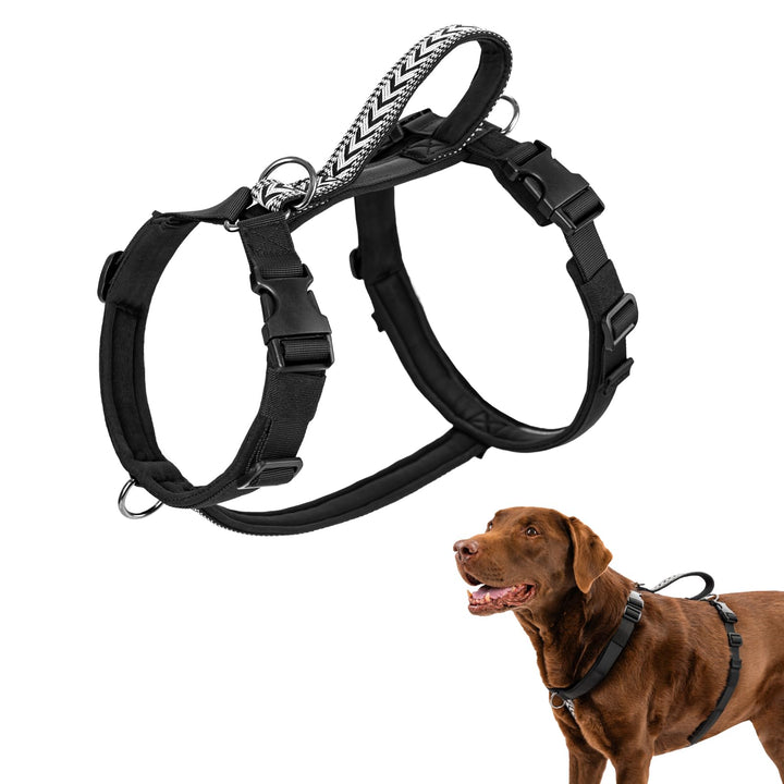 Arblina Hundegeschirr, Ausbruchsicheres Antizuggeschirr für Kleine, Mittlere und Grosse Hunde, Hunde