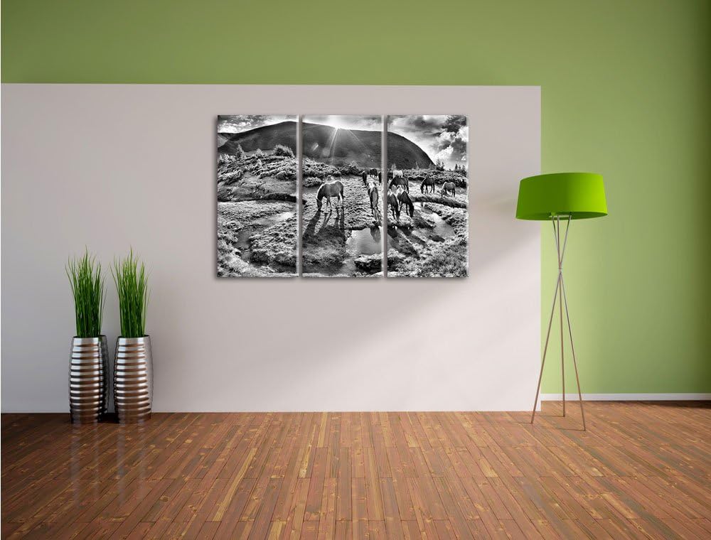 Pixxprint Pferde auf Wiese als Leinwandbild/Grösse: 3 Teilig (120x80) cm/Wandbild/Kunstdruck/fertig