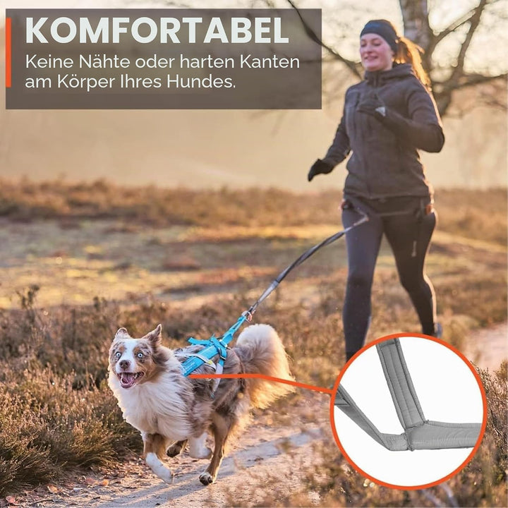 Non-stop dogwear FREEMOTION Harness 5.0 |111| Hundegeschirr für alle Sportarten, Grösse:5, 5