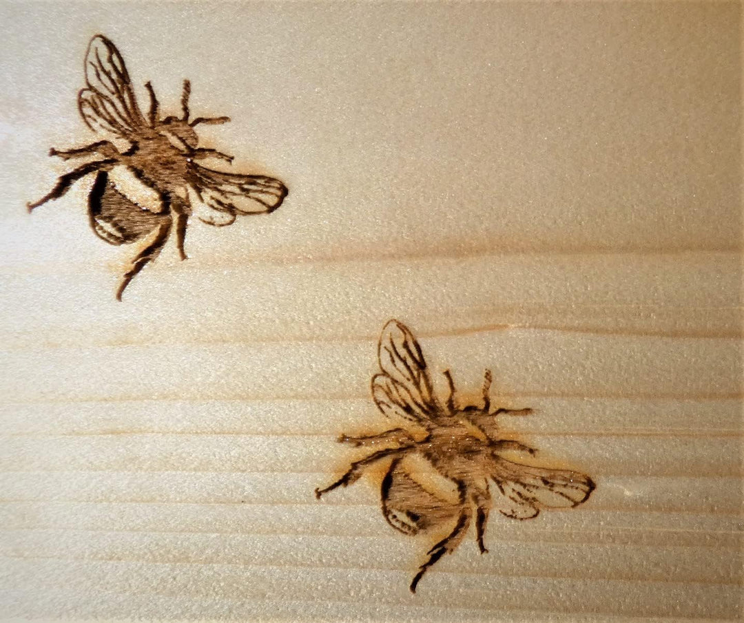 Premium Hummelkasten mit Wachsmottensperre, 2X Sichtfenster und Nistmaterial Wetterfest Bienenhaus H