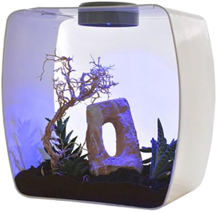 Lucky Reptile LB-30W Life Box 30 Designterrarium aus Acrylglas, weiss weiss klein, weiss klein