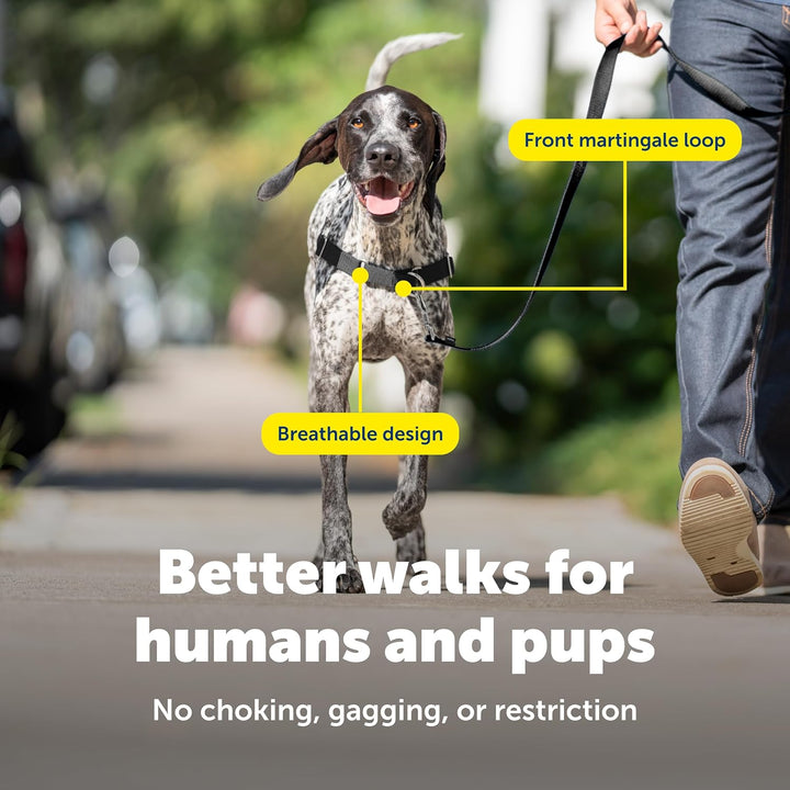PetSafe Easy Walk Hundegeschirr. Himbeere/Grau Medium/Large, Himbeere/Grau Medium/Large