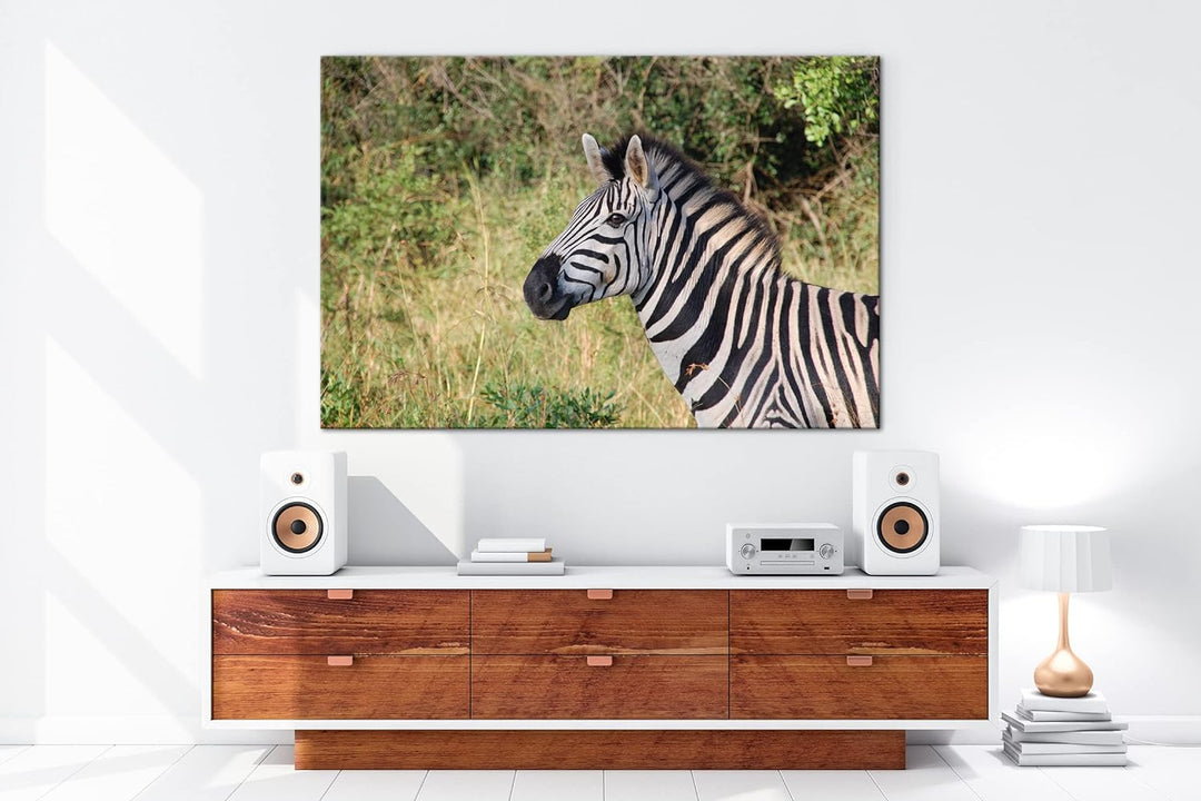 deyoli edles Zebra Format: 80x60 als Leinwand, Motiv fertig gerahmt auf Echtholzrahmen, Hochwertiger