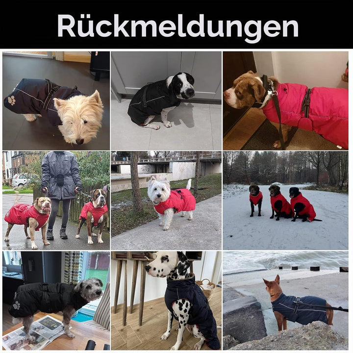MOREZI Hundejacke Mantel, Winddicht wasserdicht, mit reflektierenden Streifen und einstellbarem Kord