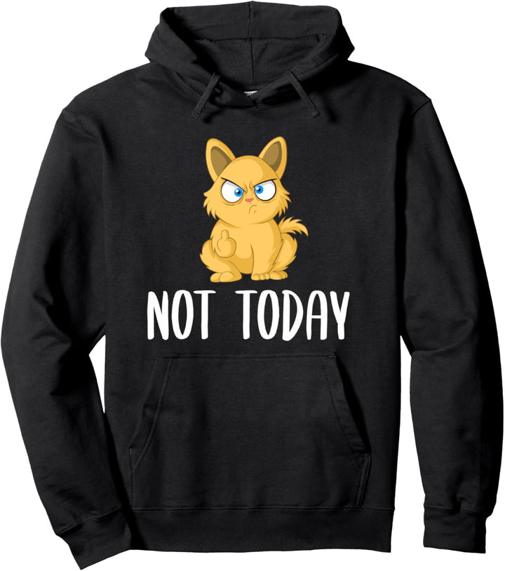 Not Today Funny Cat Gift Idea For Cat Lover Pullover Hoodie