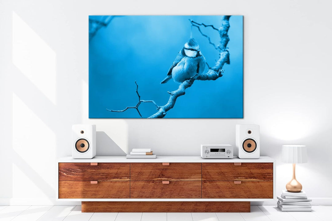 deyoli Kleiner Dicker Vogel Format: 100x70 Effekt: Monocrome Blau als Leinwand, Motiv fertig gerahmt