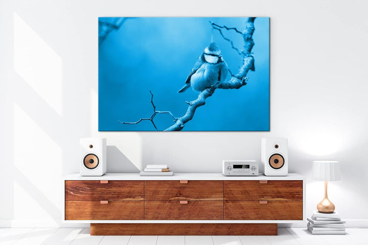 deyoli Kleiner Dicker Vogel Format: 100x70 Effekt: Monocrome Blau als Leinwand, Motiv fertig gerahmt