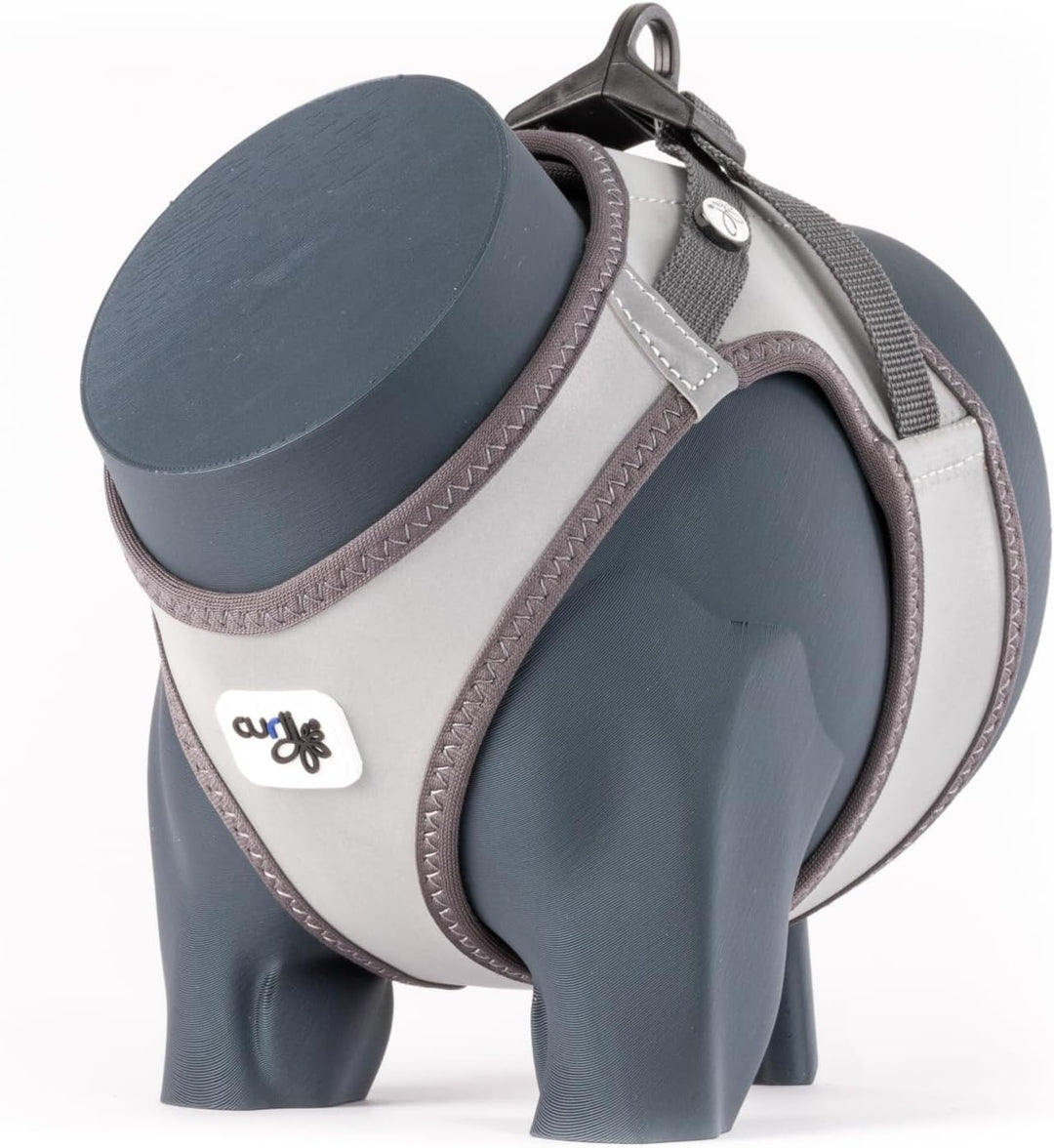 Glow curli Clasp Vest Harness Reflective Gray L, L