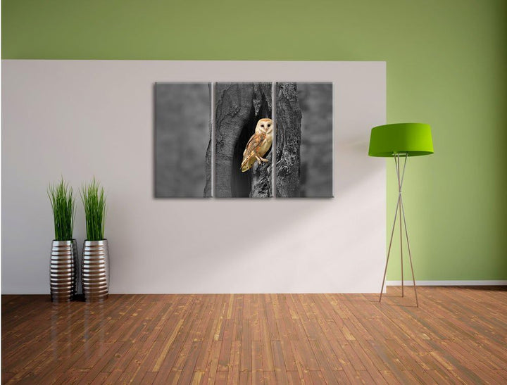Pixxprint Schleiereule Baumhöhle / 3-Teilig/Gesamtmass 120cm Leinwandbild bespannt auf Holzrahmen/Wa