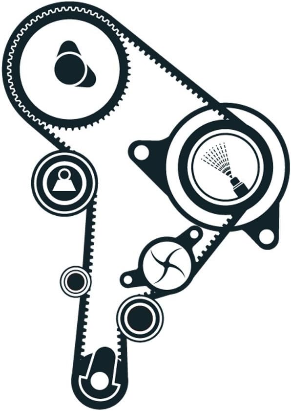 SKF VKMC 01244 Spannrollensatz inkl. Wasserpumpe